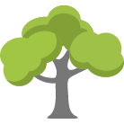 Irving Tree Removal