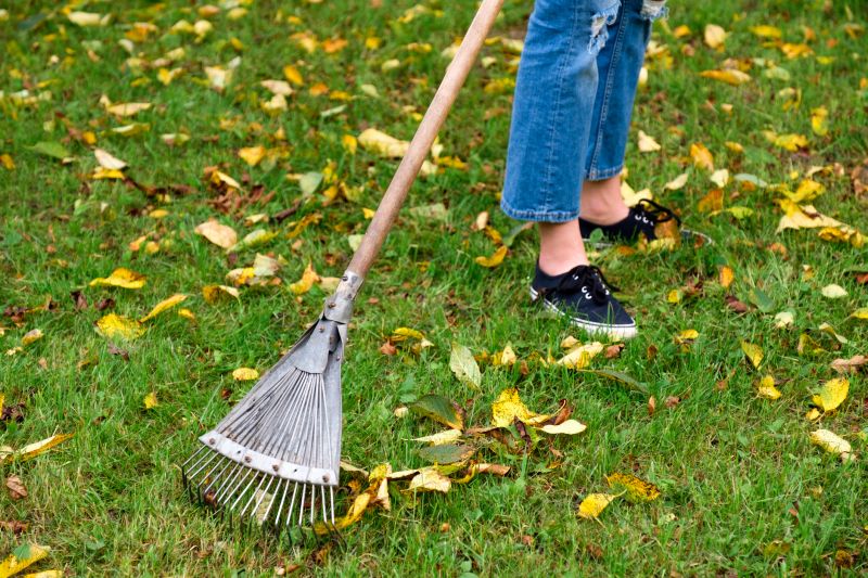 Leaf Raking Techniques