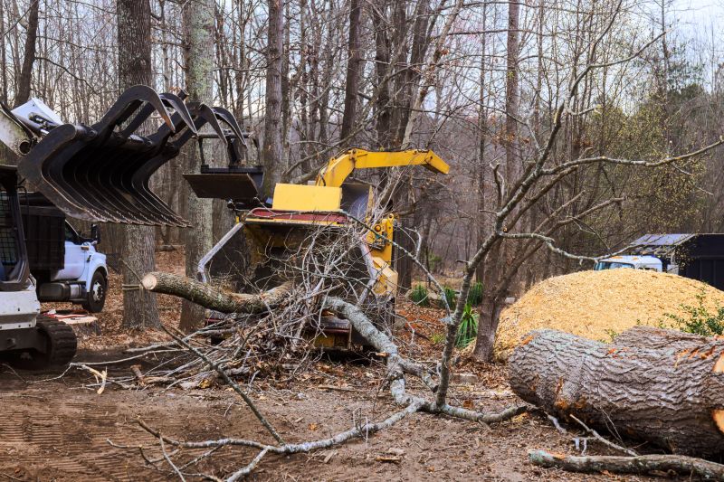 Equipment Used in Tree Removal